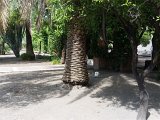 (87) Complesso Monastico - Giardino dei Novizi.jpg